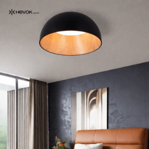 l dy 2113 ceiling
