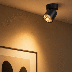 tiltable cob lights