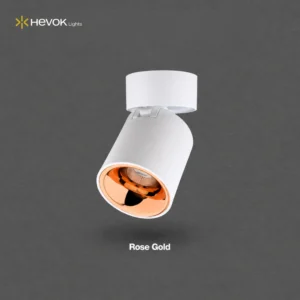 dewton led